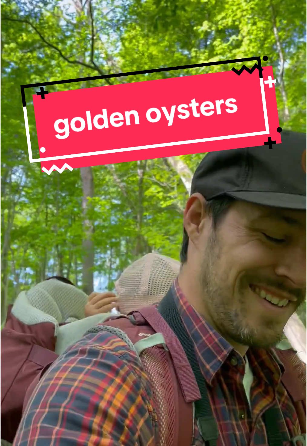 Luke, Anna, and Turbo explore a green spring forest and find a mossy elm log which is piled high with golden oyster mushrooms #mushrooms #family #explore #naturephotography #goblin 