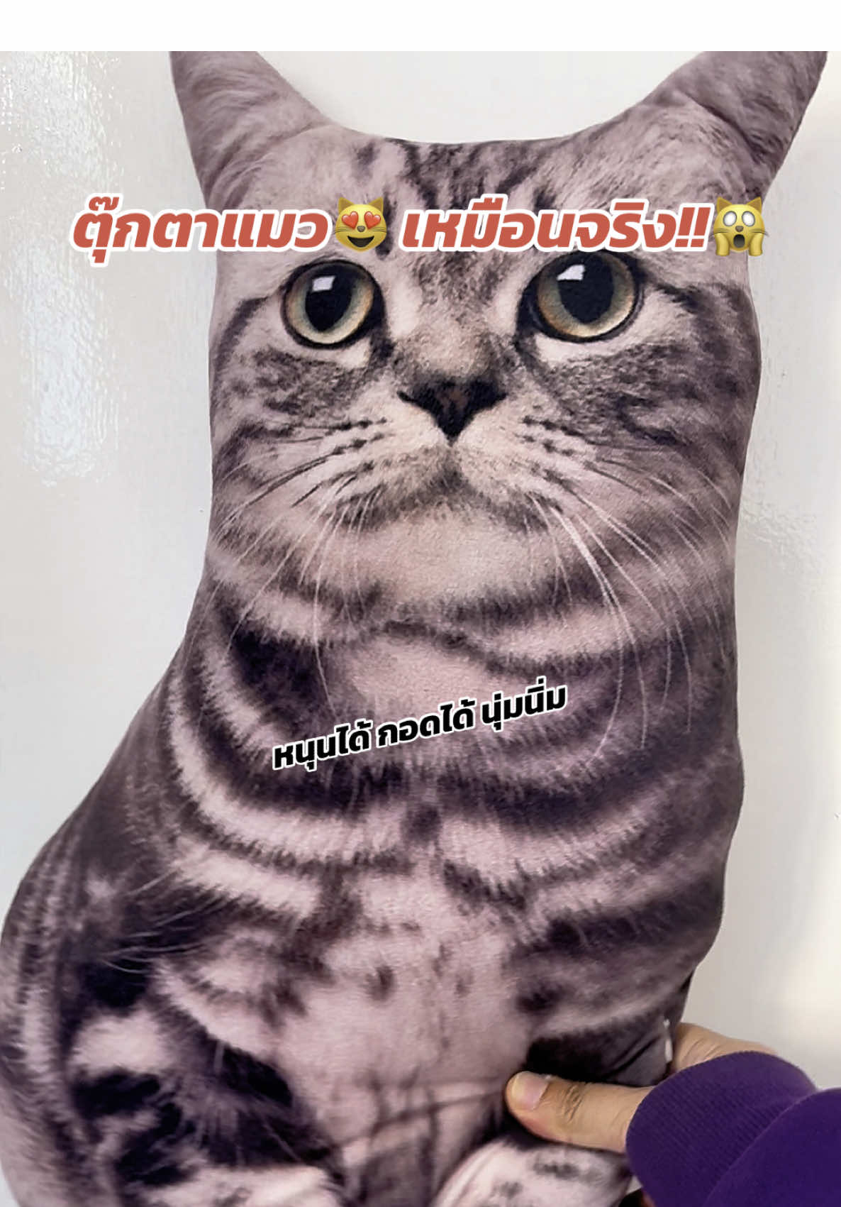 😸😽😻🙀😺#ของดีราคาถูก #ตุ๊กตาเเมว #ตุ๊กตา #แมว #หมอนแมว 
