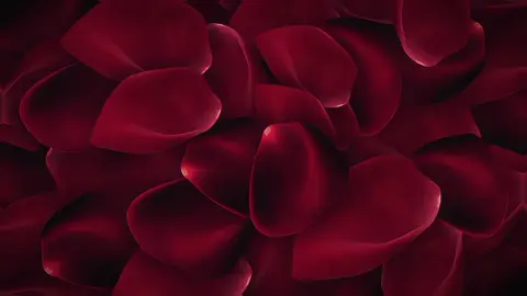 #trongduong #tronggduongg #nétđẹpnghệthuật #hầu_đồng #viral #ilovetiktok #xuhuong #abcxyz #share #ảnh #capcut #fypシ゚ 