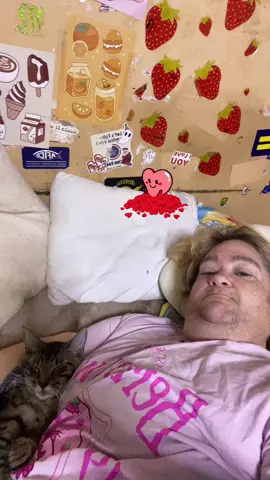 Snuggled up #heyheyhey #redheartsclub❤️ #fypシ゚viral #snuggle #catsoftiktok #rover #CleanTok 