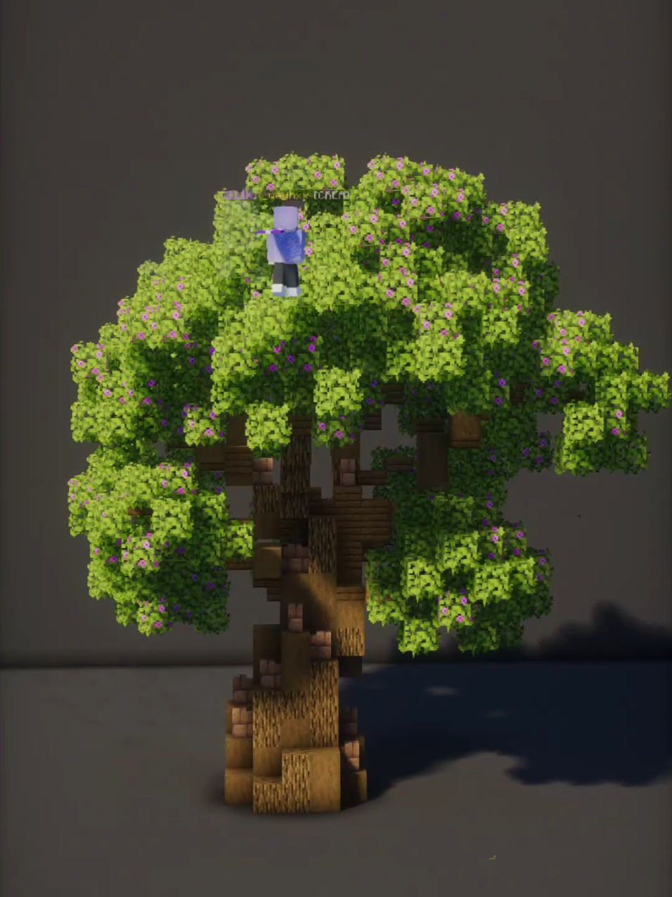 Oak Tree timelapse  #Minecraft #fyp #minecraftbuilding #gaming 