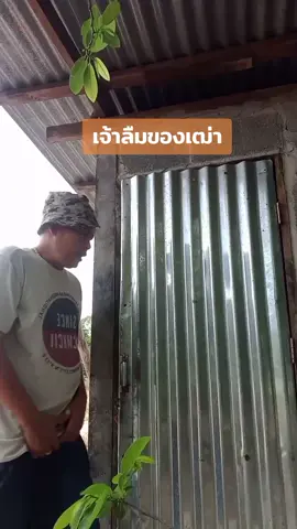 อารมณ์ดีจังเลย#ขำๆ #ฮาๆ #haha #funny #comedy #kkkk #ผู้ติดตาม 