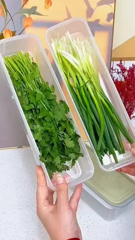 hộp đựng hành lá tiện lợi#dogiadung #dungcutienich #coixaytieu #hopdunghanhtoi 