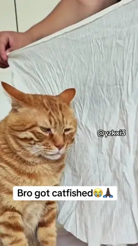 #yzkxi3 #fy #meme 