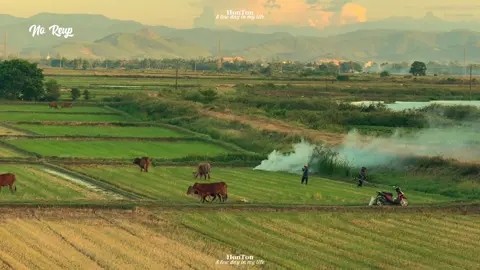 Có những giai điệu tưởng chừng đơn giản nhưng lại đưa ta về với khoảng thời gian trước đây Có những bài hát như thế, cả 10 năm vẫn nguyên vẹn một cảm xúc. Không biết còn bạn nào nhớ bản nhạc này không. ^.^