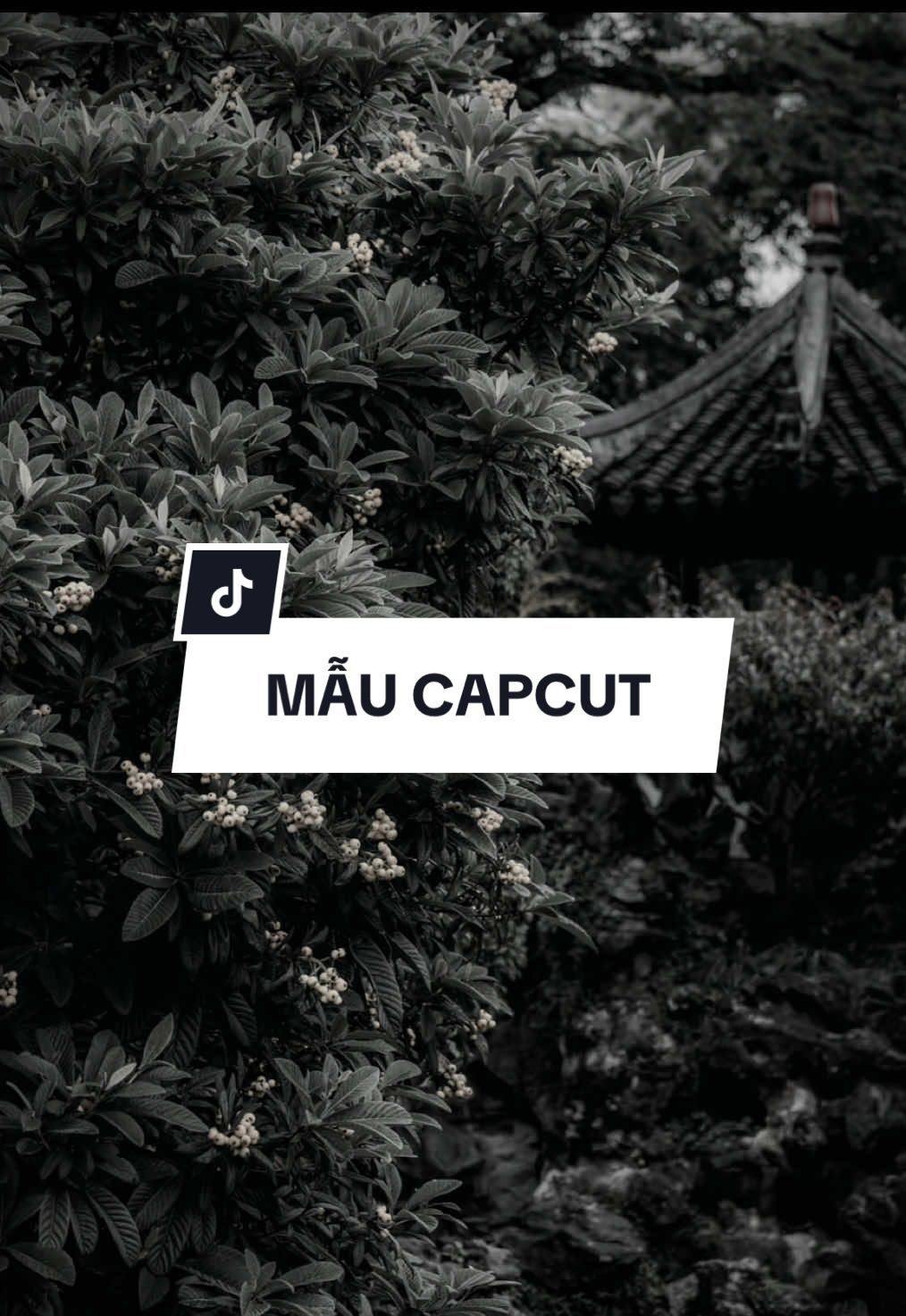 #CapCut Nhạc cuốn quá…#xuhuong #vrial #nhachaymoingay #maucapcut 