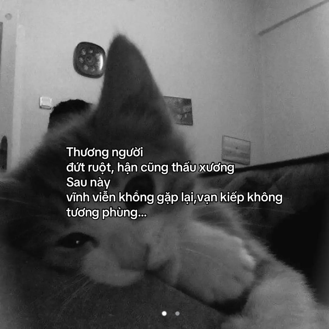 #onthily220620_ #xuhuongtiktok #xyzbca #tamtrang #lyrics 