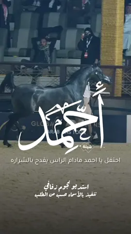 شيلة باسم احمد 2025 شيلة مدح احمد #استديو_نجوم_زفافي #لطلب_الشيلات_0505336824 #السعودية #الكويت #قطر  #تصميم_فيديوهات🎶🎤🎬تصميمي🔥 #تصميم_اسماء_حسب_الطلب #شيلة_باسم_احمد #شيلة_احمد #احمد 