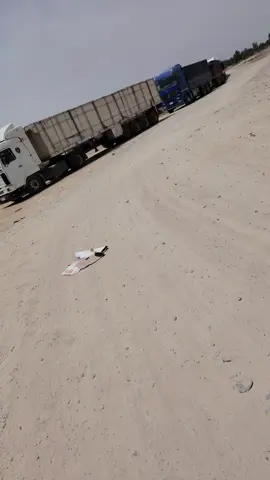 الشيخة