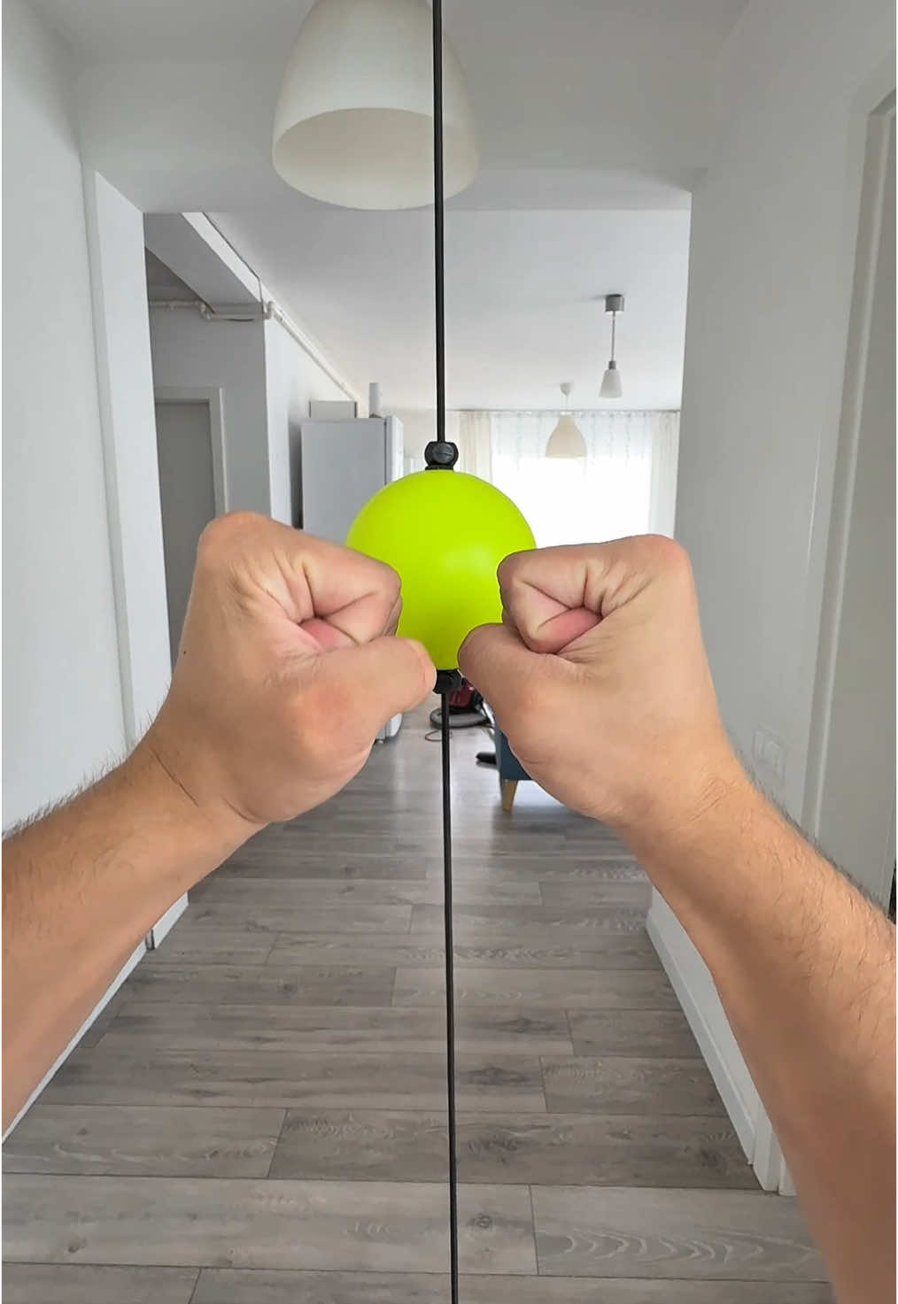 Every boxer needs this speed ball 🥊