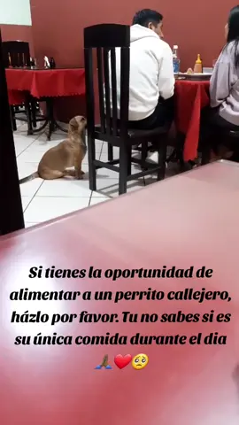 #videoviral #perritostiktok #fypシ゚  #tiktokviral #CapCut 