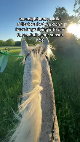 Everyone at my barn wants to try it now🤣 #equestrian #horsehack #horse #trailride #ottb #breyerhorse #flycontrol #horses 