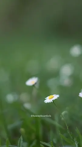 😕☹️❤️‍🩹