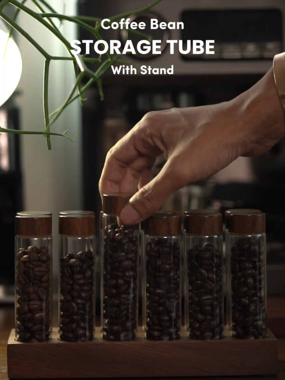 Coffee Bean Storage Tube With Stand หลอดแก้วใส่เมล็ดกาแฟ พร้อมฐานรองไม้ #coffeetiktok #coffee #กาแฟ 