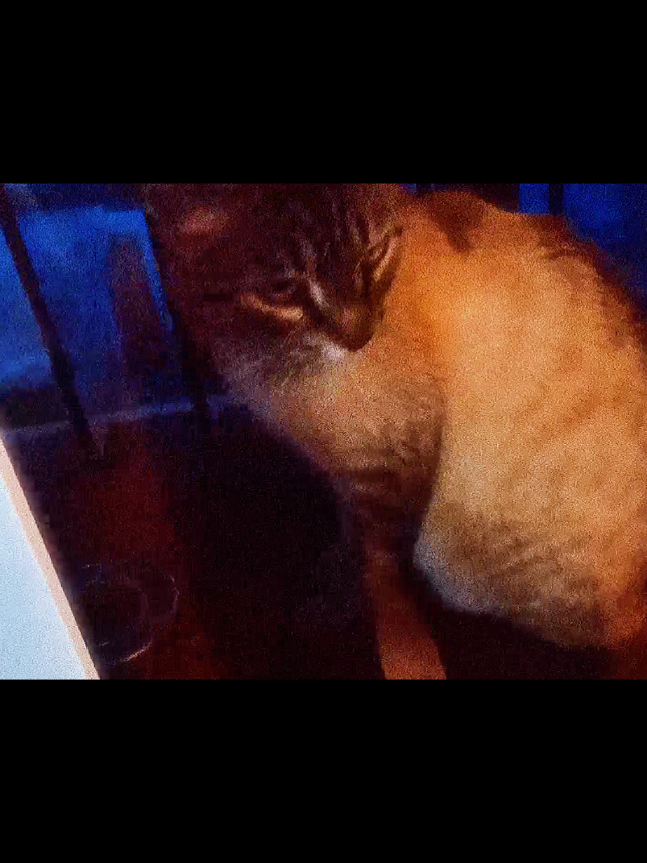 Released this song a few weeks ago, do you like It? #new #music #shoegaze #postrock #upcomingartists #indiemusic 