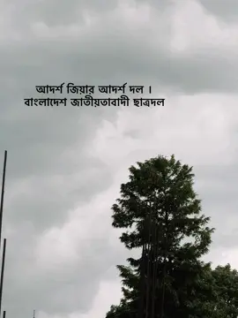 #bnp #chatrodol #vairal #video #foryoupage 