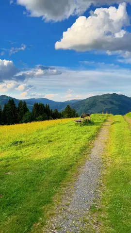 Paradise? #foryoupage #field #forest #nature #magnifique #countryside #auszeit #germany #landleben #mountainview #landscaping 