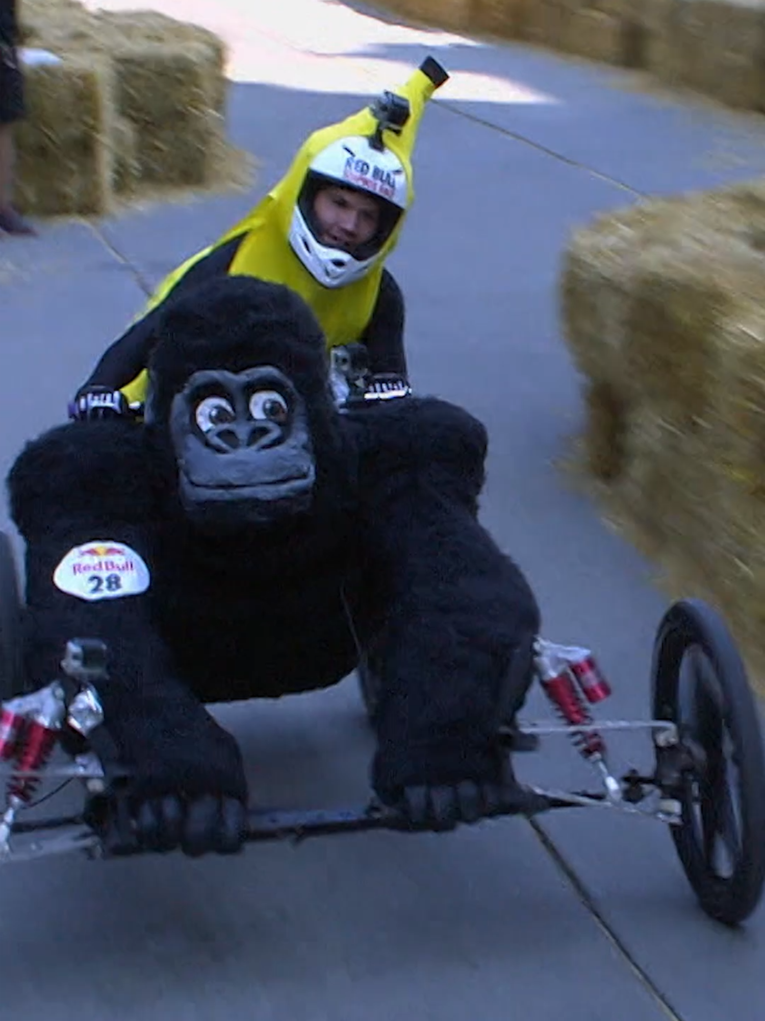 does that settle the 100 men vs 1 gorilla debate? 👀🦍 #redbull #givesyouwiiings #energydrink #redbullsoapbox