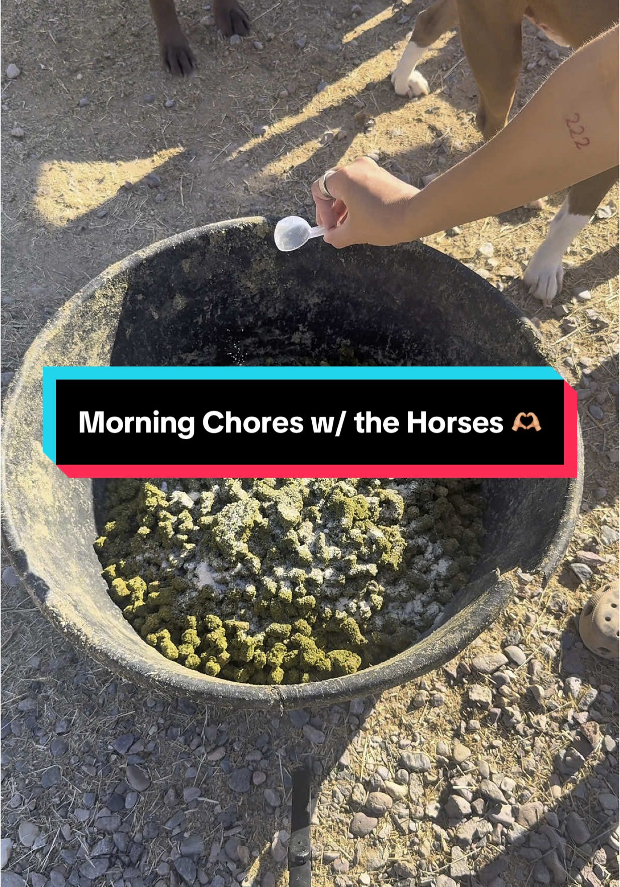 there’s nothing aesthetically pleasing about this life but that’s alright 🥹  #fyp #Lifestyle #horsetok #firstgenhorseowner #morningroutine 