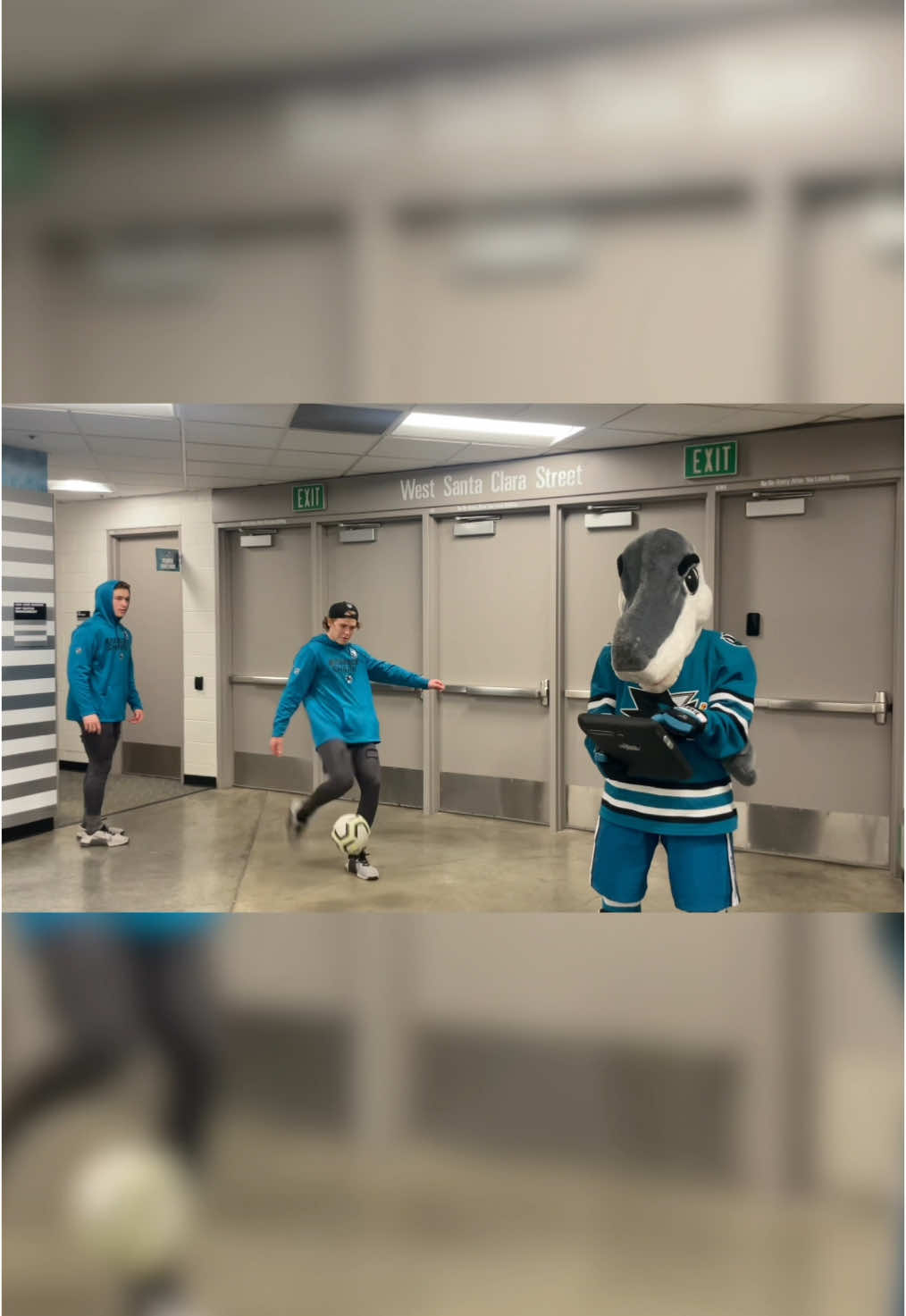 VOTE S.J. SHARKIE to the @MascotHall of Fame!  rb.gy/ln4hm5