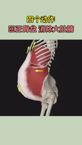 #health#Fitness#bodypart#excerise#yoga#📷📸🎥📽️ #account #viral #foryou #trending #tiktok #foryour #foryoupage❤️ #treanding #virlvideo #foryoupage #viraltiktok #😝😝😝🤗🤗🖇🖇#asmr #asmrsounds #asmrvideo #asmrtiktoks #asmrfood #asmreating #rec #Recipe #recipes #baking #for #foryoupageofficiall #foru #fyp #fypシ #viralvideo #vira #trending #trend #trendingvideo 