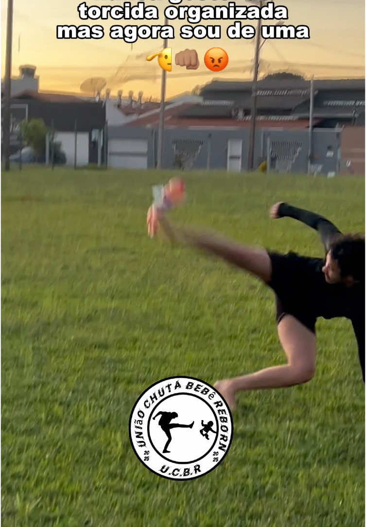 U.C.B.R 🤜🏽🤛🏽🫱🏻‍🫲🏽 Vídeo do treino para melhorar seu chute no meu perfil!!! 🤣🤣🤣 #capoeira #capoeirabrasil #bebereborn #bebe #videoviral #foryoupage #fyp #memestiktok 