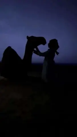 غلاااااك ما ينقص ولو ربّع ذره !❣️#عبدالرحمن_ال_نجم | @TikTok اكسبلور طلعوه؟؟