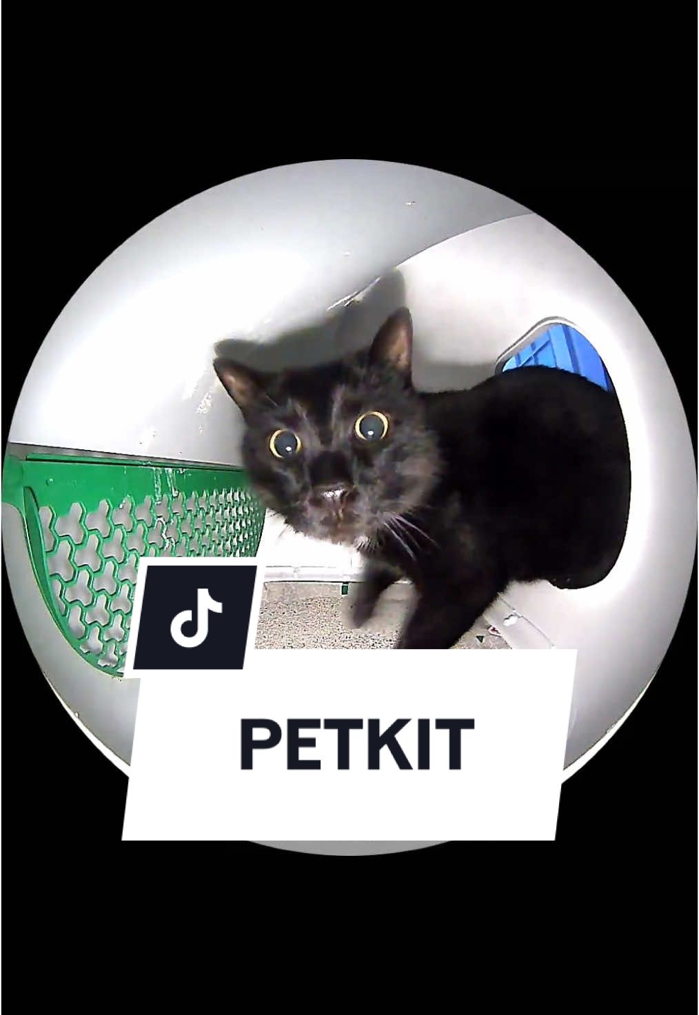 Cat lovers!😻 We recommend the best invention that changed our lives - thanks to @PETKIT it is now much easier in our daily lives! 😺🐾 You can find the link in our bio! 🙌 #outdoorfun #petkit #purobot 