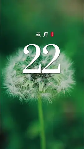 今天是5月22日，星期四，农历四月廿五，早安～ #早安 #早安心语 #早安正能量 #正能量  #祝福  #情感共鸣 #治愈系 #治愈  #fyp  #fypシ #foryou  #foryoupage  #fyppppppppppppppppppppppp 