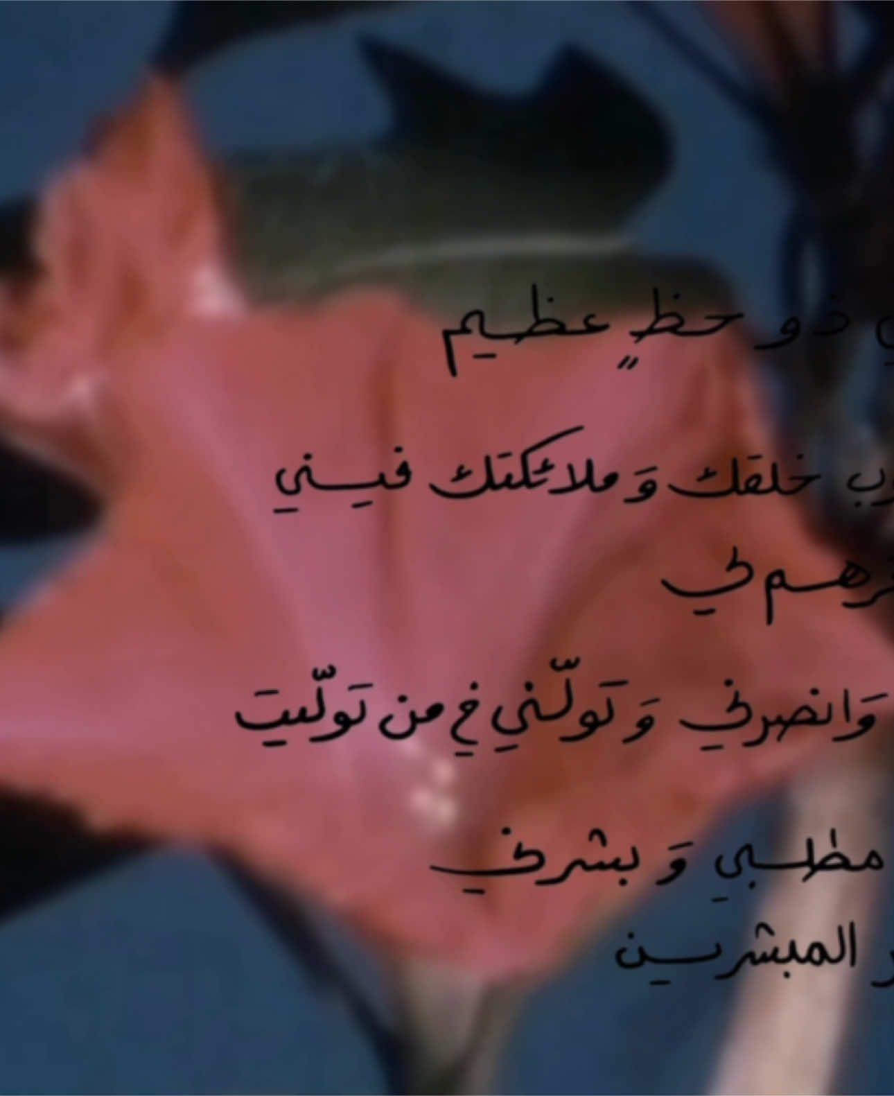 تولَّنِي برحَمَتِك وجَمِيل لُطفِك يَا اللّٰه آمين 🪷