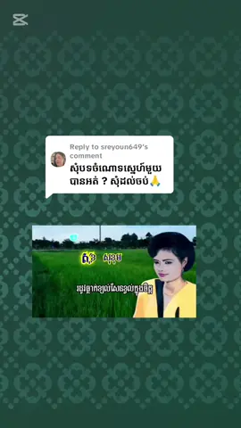 Replying to @sreyoun649  #ពីរោះរណ្ដំចិត្ត #🇰🇭🇰🇭🇰🇭 #🙏🙏🙏 #