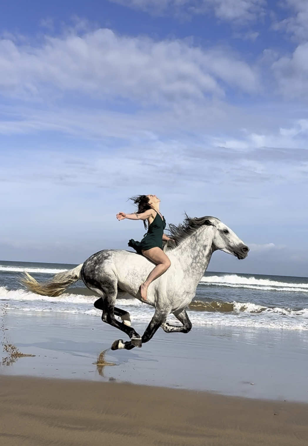 WE ARE NOT AN AI ACCOUNT 🙌🏼 Amazing rider Nina enjoying the freedom with our big boy, Amigo. 🐎💨 . . . . . . 👉🏼 We are a Travel Agency based in Essaouira (Morocco). Join us for an unforgettable horseride holidays. Ride the best horses in town, and meet the best team of riders.  . . . . . . #horses #horsesoftiktok #horse #horsetok #equestrian #fyp #cheval #fypage #viral #viralvideo #pferd #horsesontiktok #лошадь #horselove #essaouira #morocco #lovak #caballos #cavalli #horsegirl #brave 