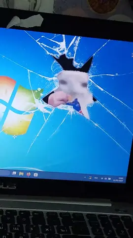 #laptop #meme #cat #cateatingchipsmeme #cateatingchips #memes #ilovecats #cats #catmeme #windows #windows11 #wallpaper #silly #sillycat #funny #cute 