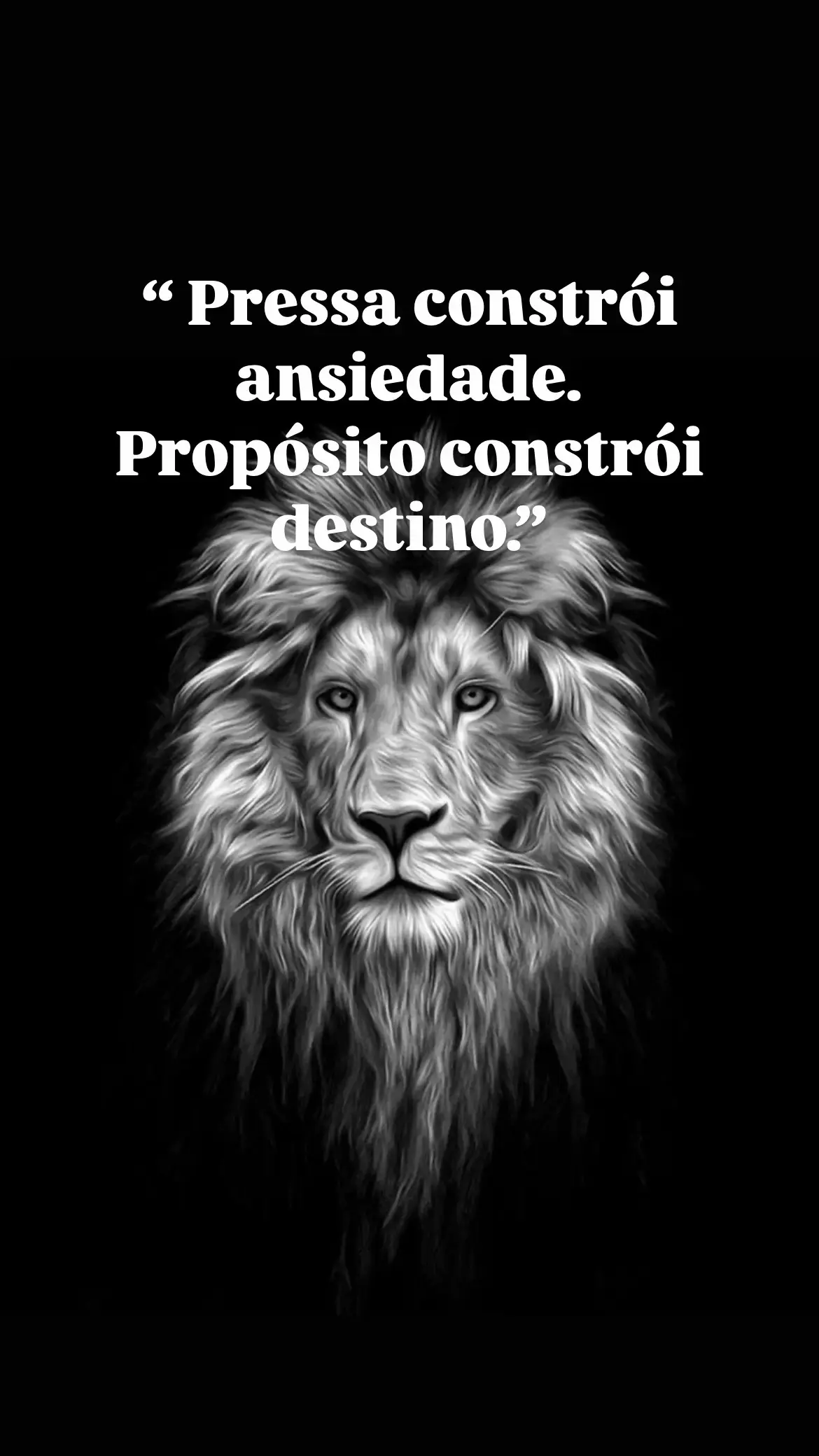 #motivation #motivacao #frasesmotivadoras 