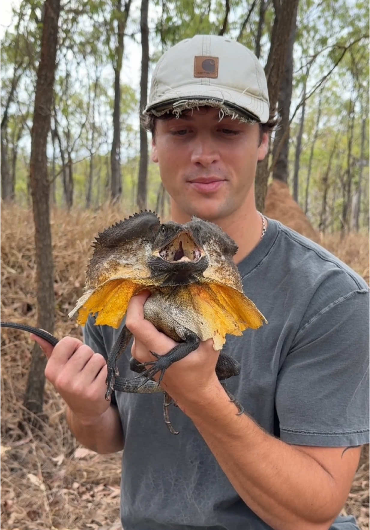 Just realized I never posted this dude from Australia trip