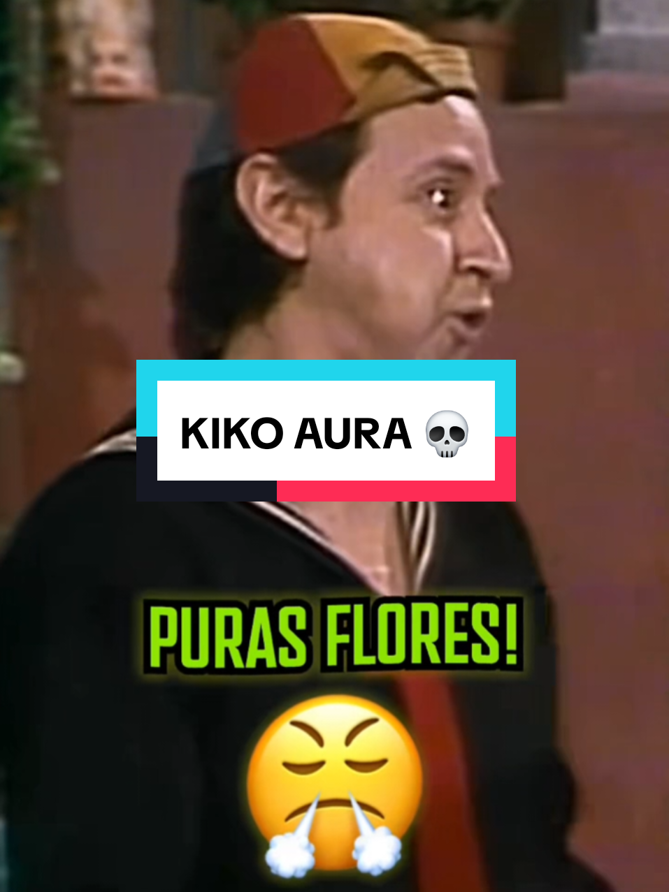 KIKO BASADO 💀 #kiko  #elchavo #8 #doñaflorinda #profesor #jirafales #vecundad 