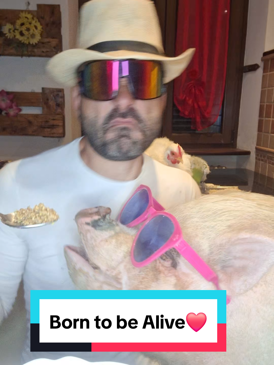 #risate #comico #videodivertenti #funnyvideos #commedy #animali 