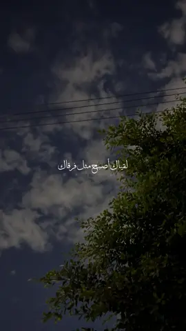 ‏اسمع ماذا قالت أصاله🤍#بدون_موسيقى #اكسبلور #fypシ゚ #تصويري📷 #طرابلس #منشن #سوريا #بلا_موسيقى #ليبيا #fypシ #explorepage #fypシحسابي #ريلز_انستغرام 