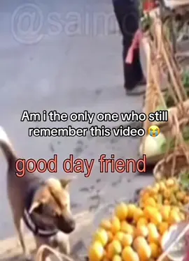 Nostalgia#nostalgia#2022 #fyp#relatable#real#💀#dog