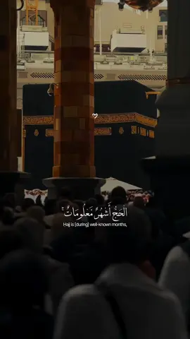 Al-Baqarah | Abdul Rahman Mossad  ‏#allah #zeealquran #القران_الكريم #quran_alkarim   #عبدالرحمن_مسعد ‏#quran #foryoupage #سورة_البقرة #hajj2025 #hajj 