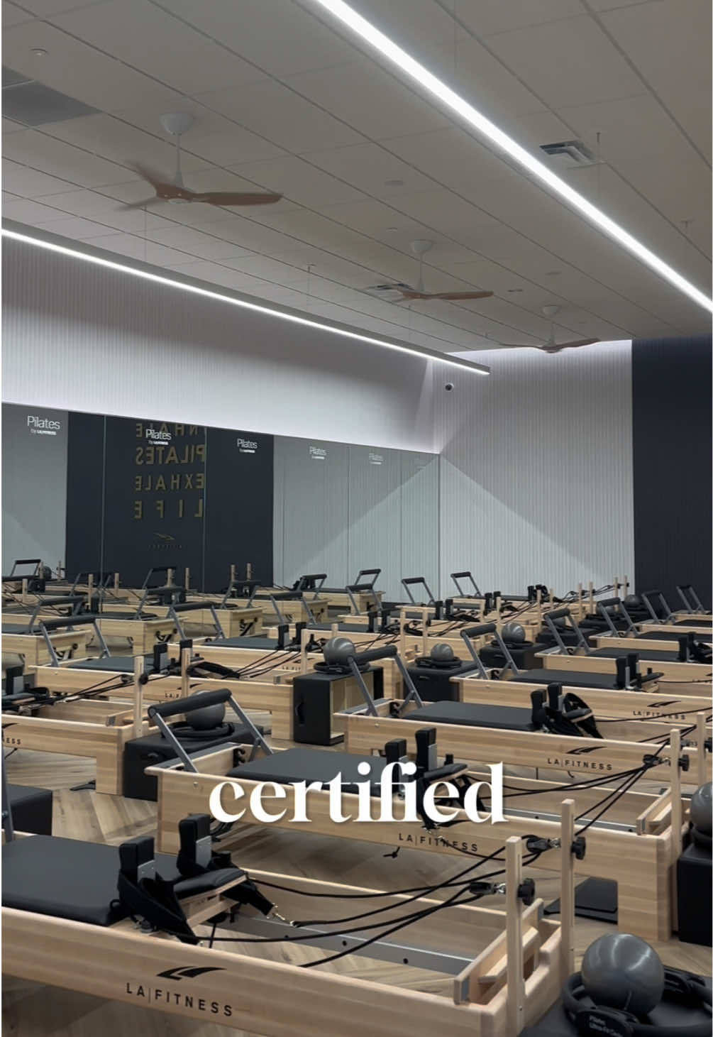 Becoming a certified gym hopper and had to try LA Fitness on Braun in San Antonio, Texas ⭐️ This gym is definitely for those who want to take their fitness and health journey seriously and have everything they need in one gym! I am absolutely obsessed their Nike sponsored weights, recovery room featuring cryotherapy, exclusive glute room, pilates studio and more! What do yall think?! Thank you so much for @lafitness_braun @lafitness_official 🤍 What gyms should I try next? #texas #sanantonio #gym #lafitness #Fitness #satx #gymsinsanantonio #health #recovery #pilates #GymLife #gymgirl #sanantonioinfluencer #thingstodoinsa #placestogo 