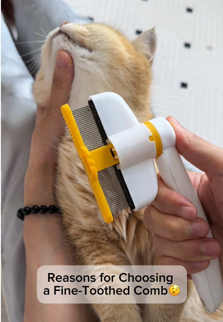 Reasons for Choosing Pet Fine-toothed Comb#petcomb #petproducts #pethair #tiktokmademebuyit #fyp #usa 
