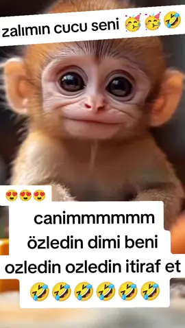 özledin dimi itiraf et 🤣🤣🤣🤣🤣#🤣🤣🤣🤣🤣🤣 #😂😂😂😂😂 #eğlence #komedikocak #komikvideolar #keşfet #tiktok #komedi #keşfettiktok 