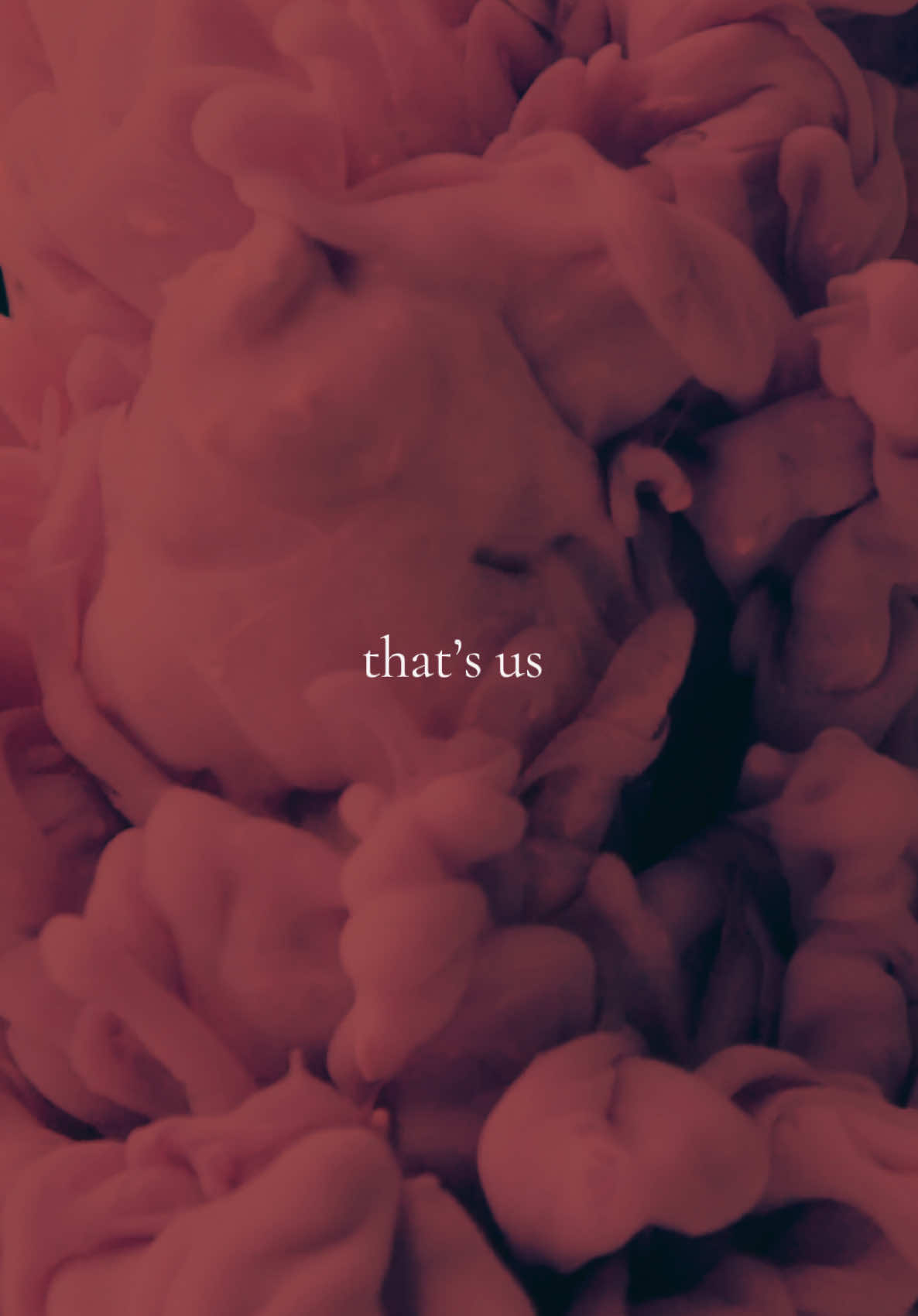#fyp #viral #taylorswift #poetry #poetryintaylor #healing #taylorsversion #taylornation #taylorswiftlyrics #taylorswiftedit #midnights #midnightstaylorswift #maroon #maroontaylorswift @Taylor Swift @Taylor Nation 