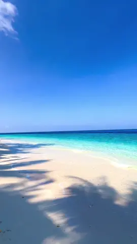 Sunny day 🏝️💦 ☀️🩵 #indianocean #tiktokmaldives🇲🇻 #beautifuldestinations #oceanlife #fypシ゚ #crystalclearbluewater🌊 #paradiseonerth #bluesky #sunnysideoflife☀️ 