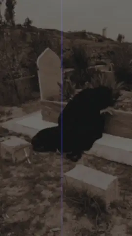 عید آ گئی میڈے سجن نئیں آئے۔ 😢⚰️. . . . #1m #1mviews #plzvairal #unfreezemyacount #1mviews 