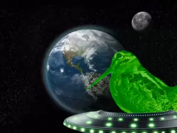 An alien meep 🐦🪶 #birds  #americanwoodcock 