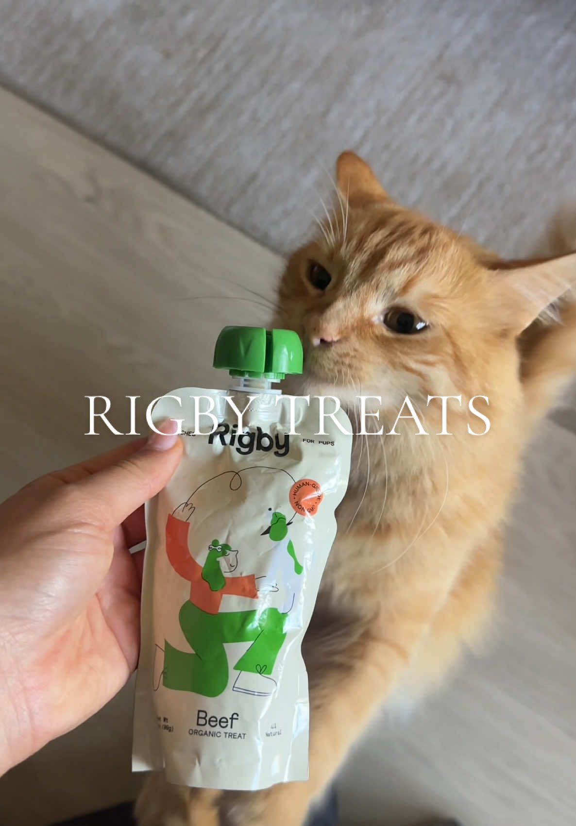 They love their Rigby treats 🤎 #treatyourpet #catsoftiktok #dogsoftiktok #orangecat #rottweiler #frenchbulldog @The Lobby @Rigby 