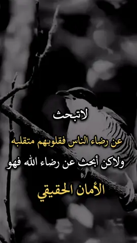 #افضل_عبارة_لها_تثييت #عباراتكم_الفخمه🦋🖤🖇 #عبارات_جميلة_وقويه😉🖤 