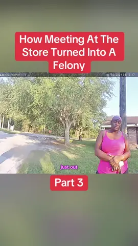 How Meeting At The Store Turned Into A Felony Part 3 #cops #copsoftiktok #police #policeofficer #bodycam #crime #truecrime #truestory #foryou #fyp 